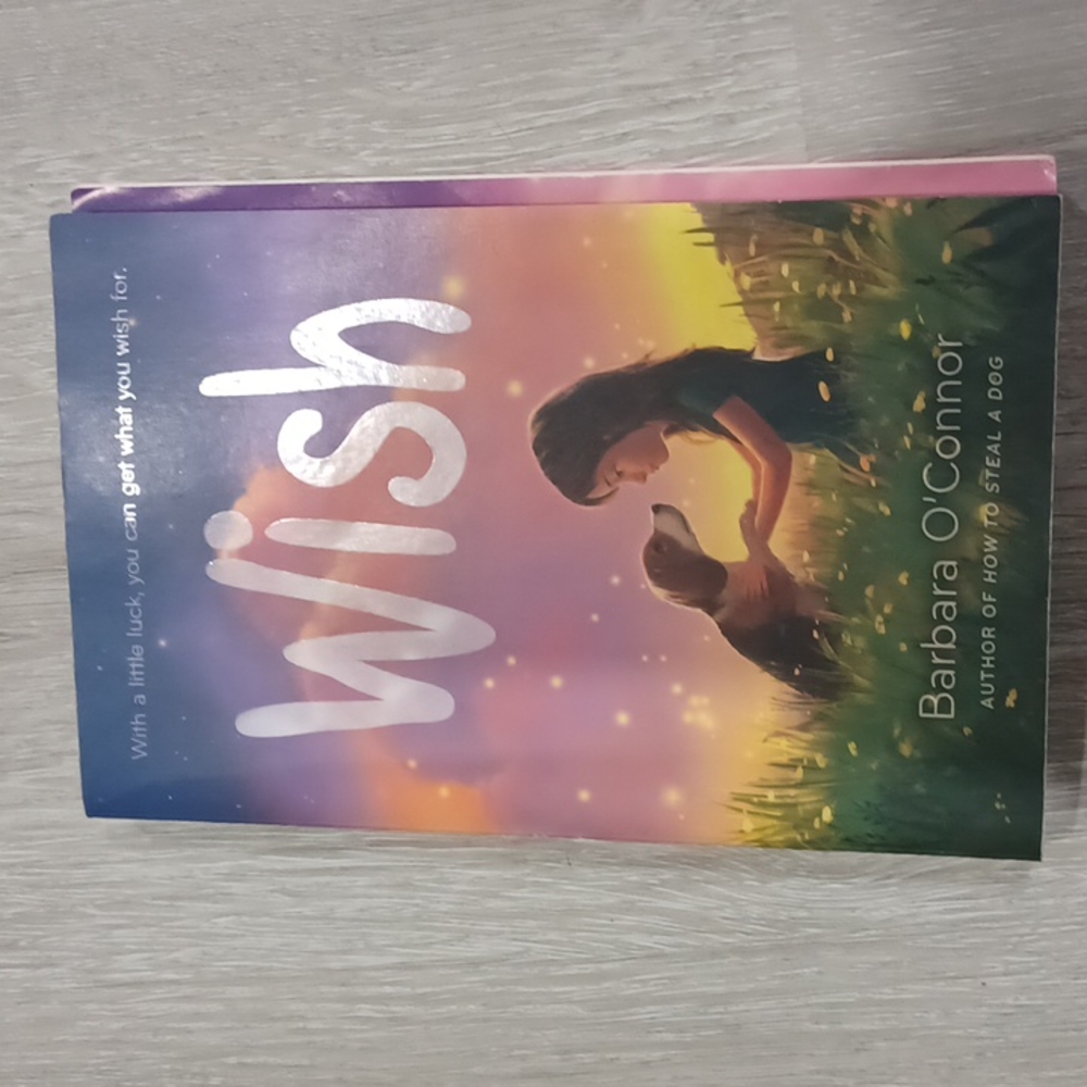 Wish paper back